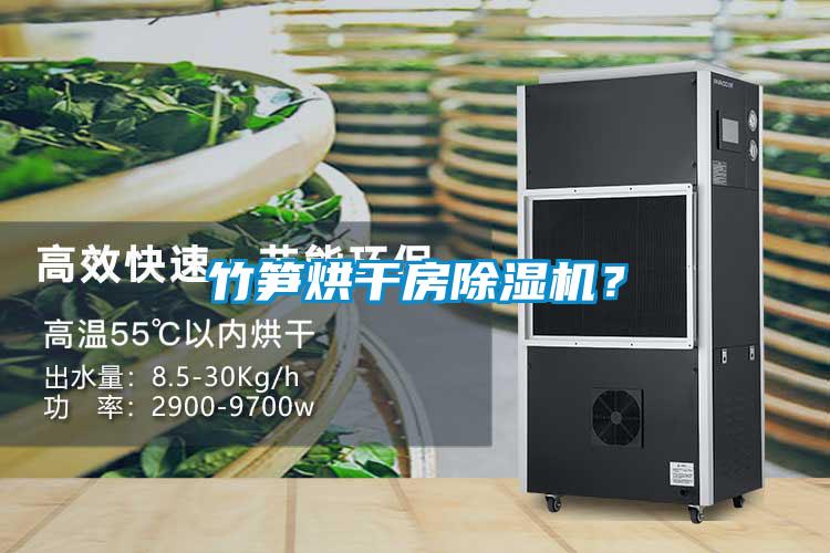 竹笋烘干房麻豆视频黄网站？
