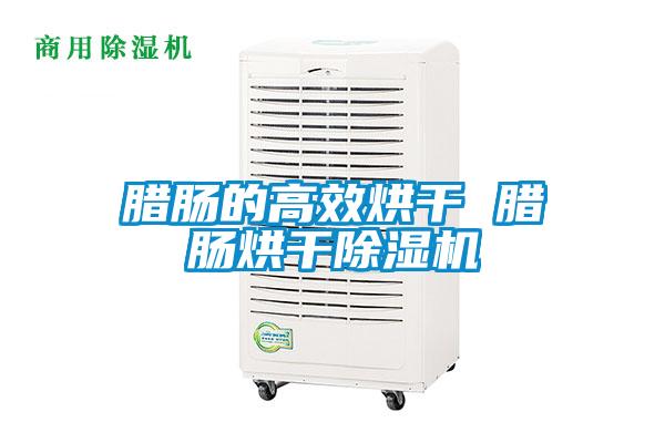 腊肠的高效烘干 腊肠烘干麻豆视频黄网站