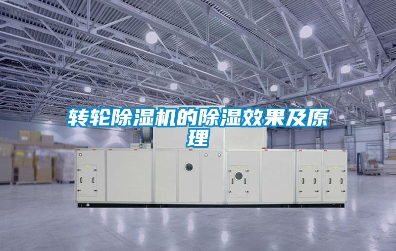 转轮麻豆视频黄网站的除湿效果及原理