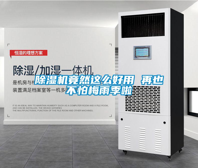 麻豆视频黄网站竟然这么好用 再也不怕梅雨季啦