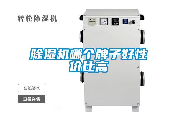 麻豆视频黄网站哪个牌子好性价比高
