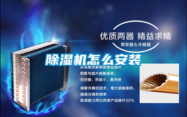 麻豆视频黄网站怎么安装