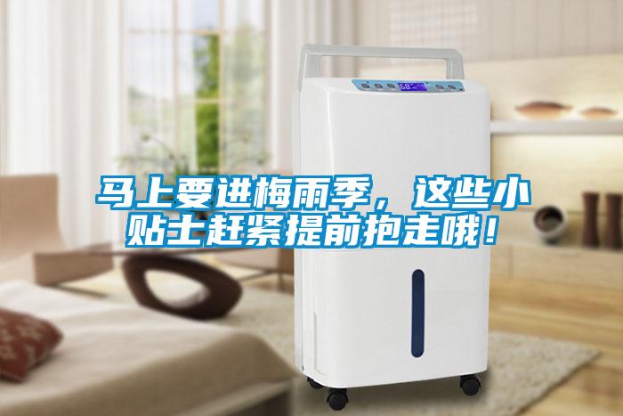 马上要进梅雨季，这些小贴士赶紧提前抱走哦！