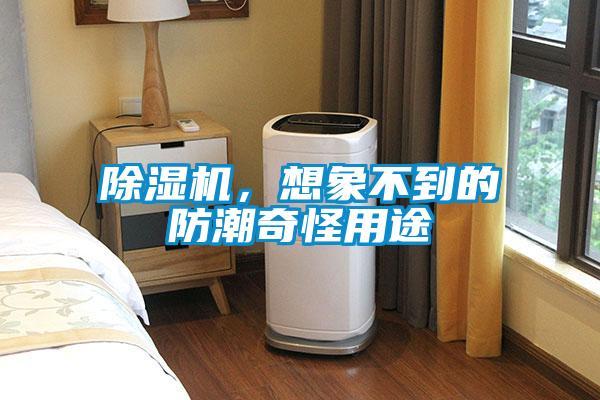 麻豆视频黄网站，想象不到的防潮奇怪用途