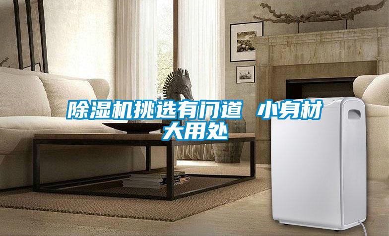 麻豆视频黄网站挑选有门道 小身材大用处