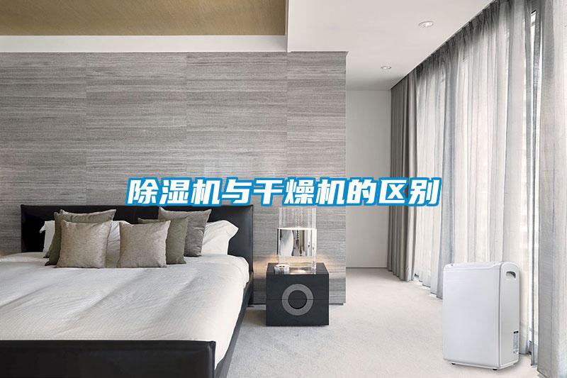 麻豆视频黄网站与干燥机的区别