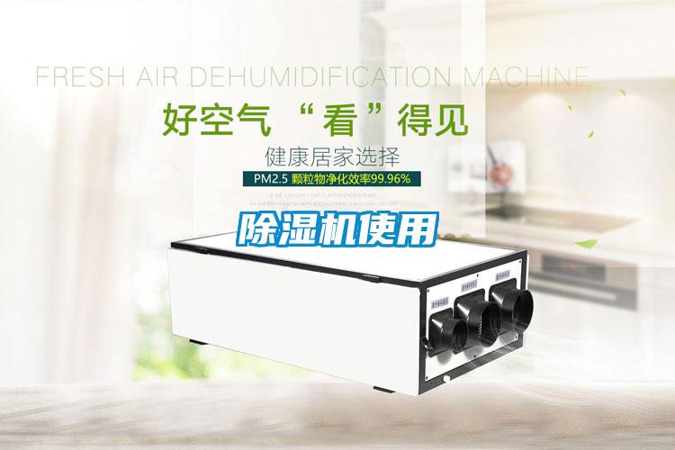 麻豆视频黄网站使用
