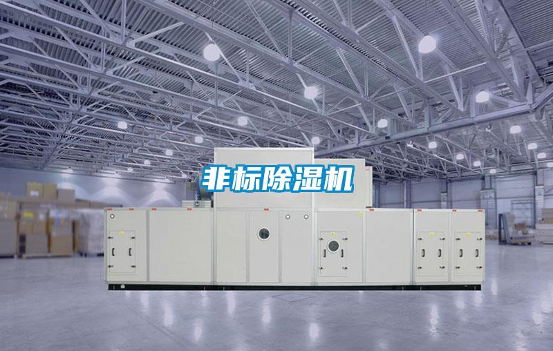 非标麻豆视频黄网站