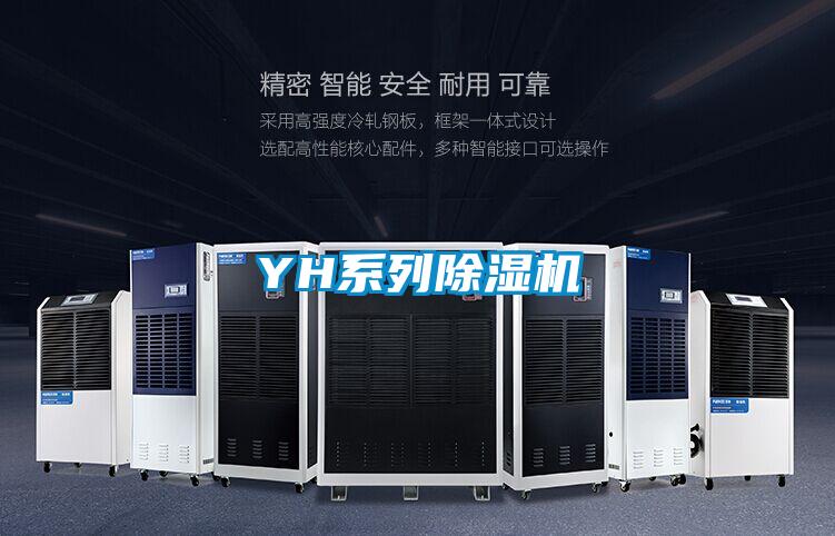 YH系列麻豆视频黄网站