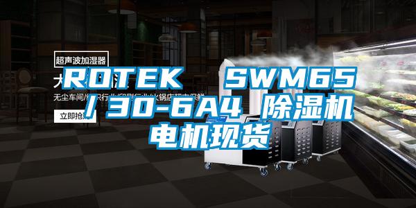 ROTEK  SWM65／30-6A4 麻豆视频黄网站电机现货
