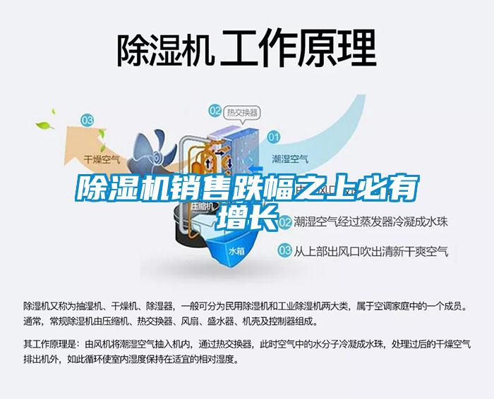 麻豆视频黄网站销售跌幅之上必有增长