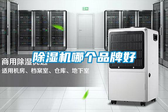 麻豆视频黄网站哪个品牌好