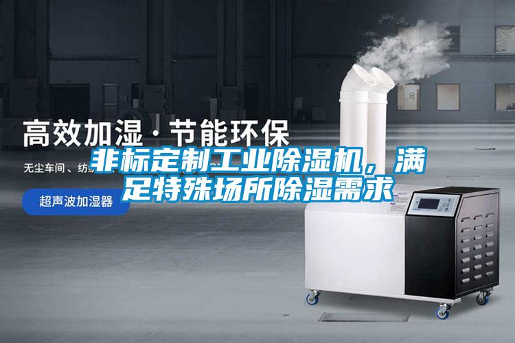非标定制工业麻豆视频黄网站，满足特殊场所除湿需求