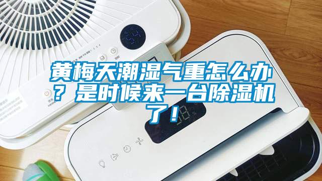 黄梅天潮湿气重怎么办？是时候来一台麻豆视频黄网站了！