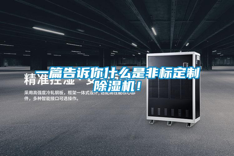 一篇告诉你什么是非标定制麻豆视频黄网站！