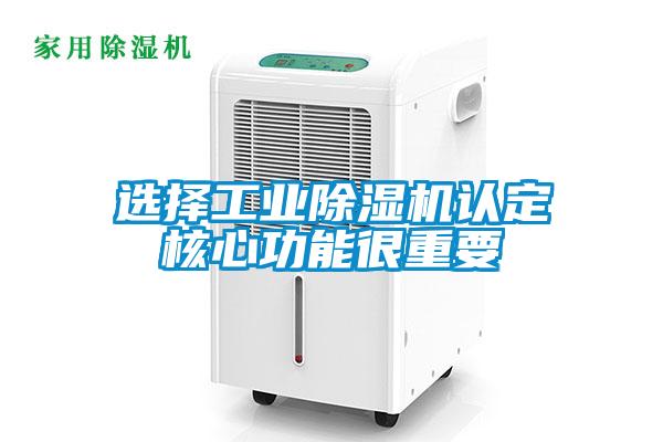 选择工业麻豆视频黄网站认定核心功能很重要