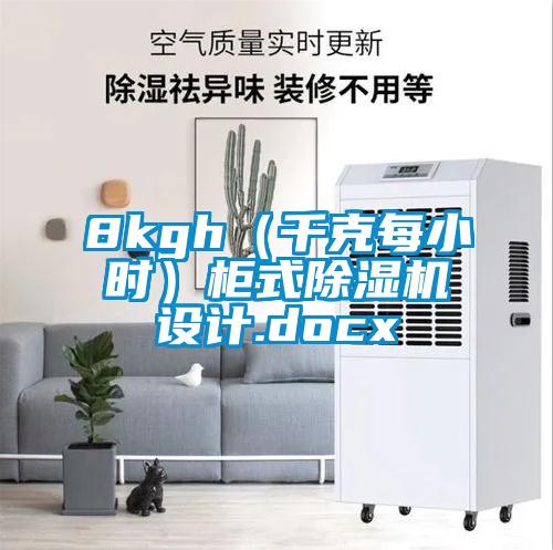 8kgh（千克每小时）柜式麻豆视频黄网站设计.docx