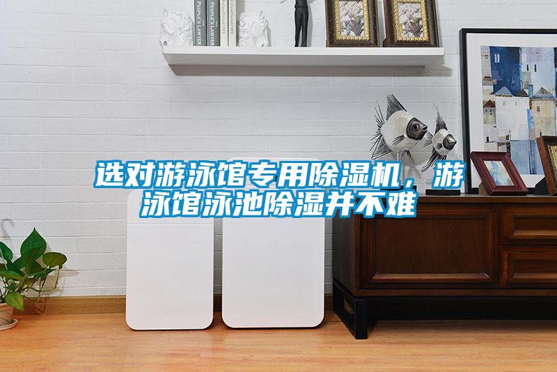 选对游泳馆专用麻豆视频黄网站，游泳馆泳池除湿并不难