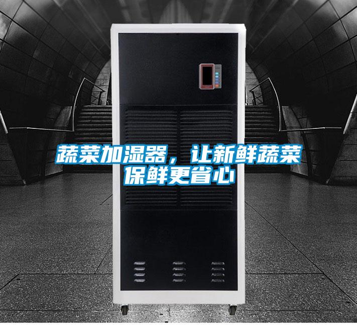 蔬菜加湿器，让新鲜蔬菜保鲜更省心