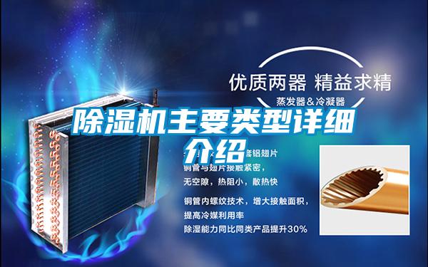 麻豆视频黄网站主要类型详细介绍