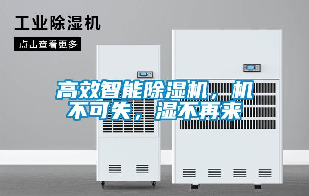 高效智能麻豆视频黄网站，机不可失，湿不再来