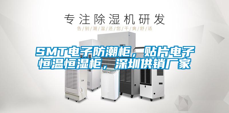 SMT电子防潮柜，贴片电子恒温恒湿柜，深圳供销厂家