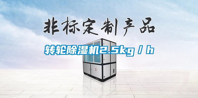 转轮麻豆视频黄网站2.5kg／h