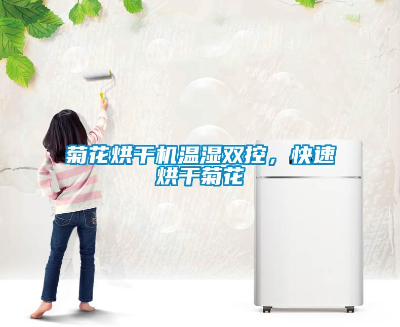 菊花烘干机温湿双控，快速烘干菊花