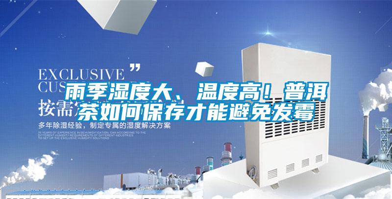 雨季湿度大、温度高！普洱茶如何保存才能避免发霉