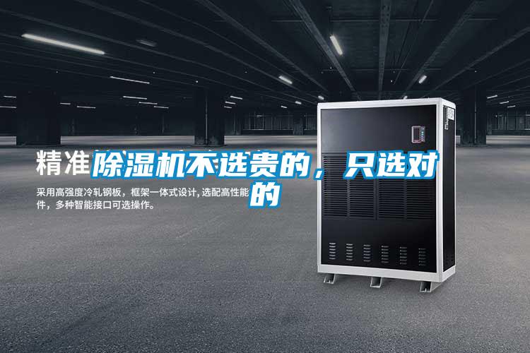 麻豆视频黄网站不选贵的，只选对的