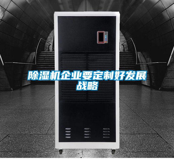 麻豆视频黄网站企业要定制好发展战略