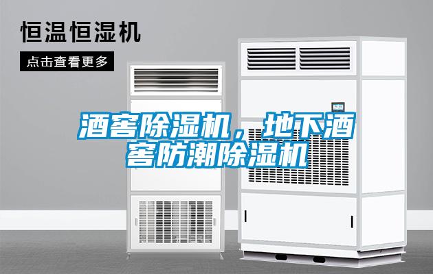 酒窖麻豆视频黄网站，地下酒窖防潮麻豆视频黄网站