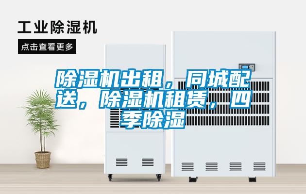 麻豆视频黄网站出租，同城配送，麻豆视频黄网站租赁，四季除湿