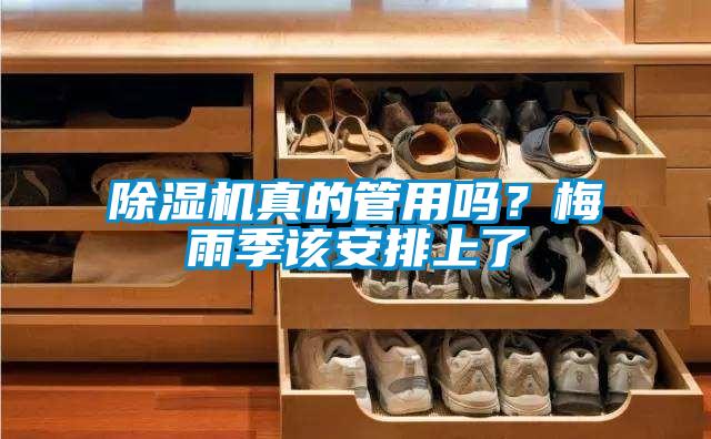 麻豆视频黄网站真的管用吗？梅雨季该安排上了