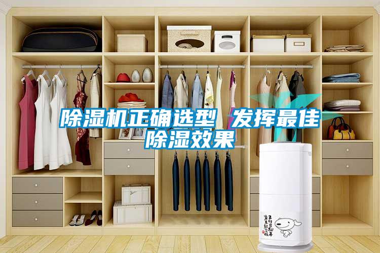 麻豆视频黄网站正确选型 发挥最佳除湿效果