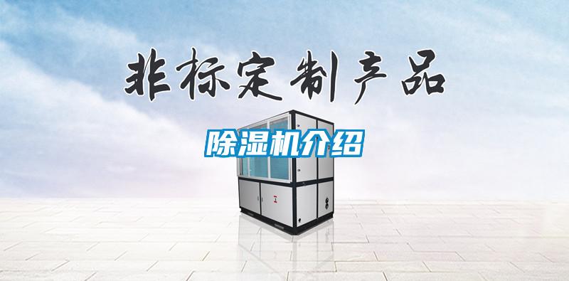 麻豆视频黄网站介绍