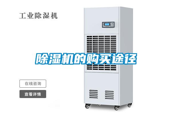 麻豆视频黄网站的购买途径