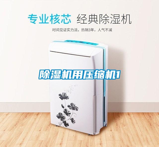 麻豆视频黄网站用压缩机1