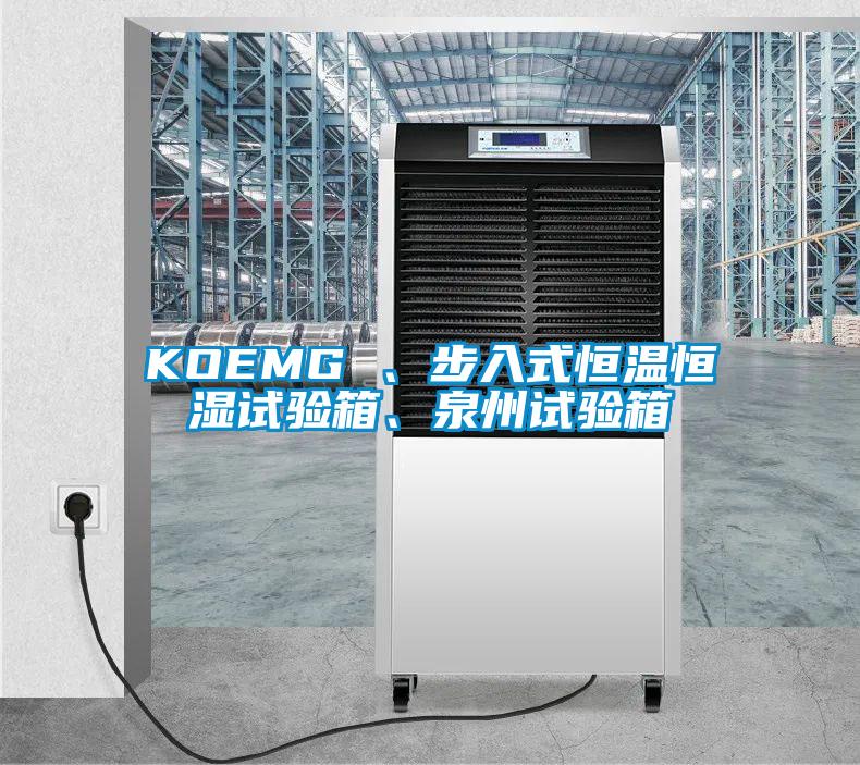 KOEMG 、步入式恒温恒湿试验箱、泉州试验箱