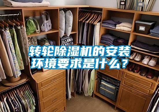 转轮麻豆视频黄网站的安装环境要求是什么？