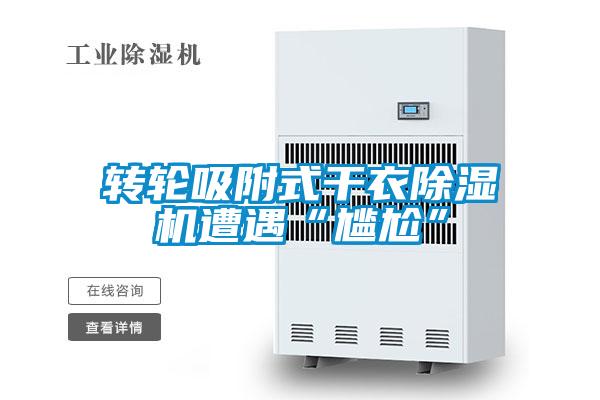 转轮吸附式干衣麻豆视频黄网站遭遇“尴尬”