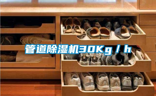 管道麻豆视频黄网站30Kg／h