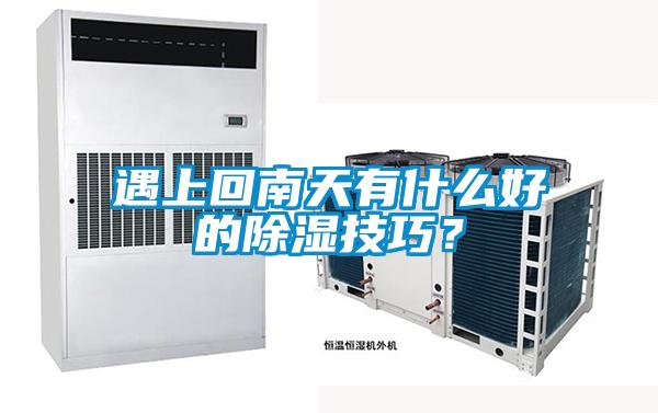 遇上回南天有什么好的除湿技巧？