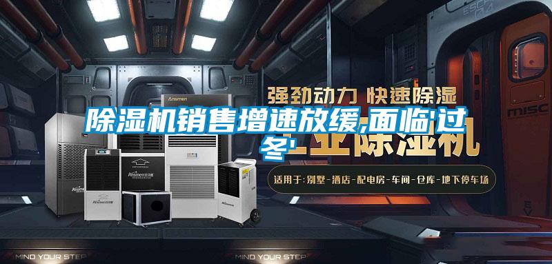 麻豆视频黄网站销售增速放缓,面临'过冬'