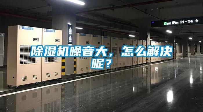 麻豆视频黄网站噪音大，怎么解决呢？