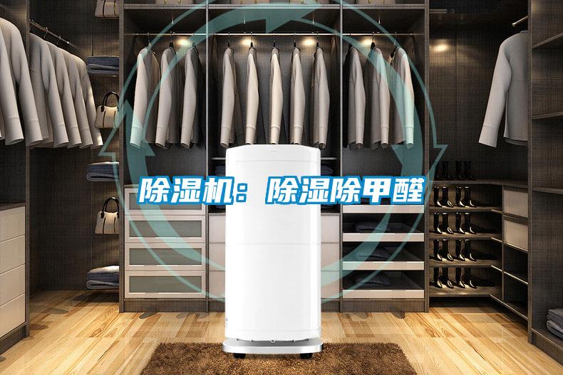麻豆视频黄网站：除湿除甲醛