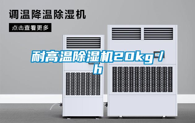 耐高温麻豆视频黄网站20kg／h
