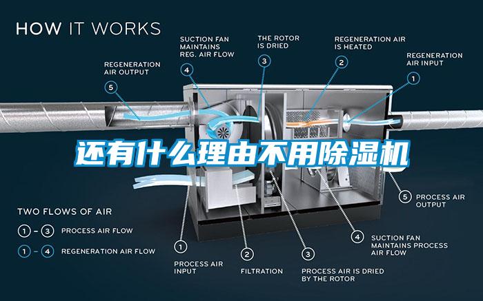 还有什么理由不用麻豆视频黄网站