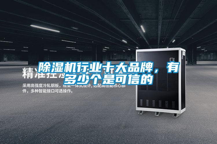 麻豆视频黄网站行业十大品牌,有多少个是可信的