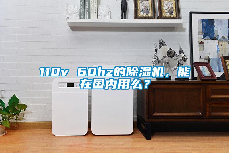 110v 60hz的麻豆视频黄网站，能在国内用么？